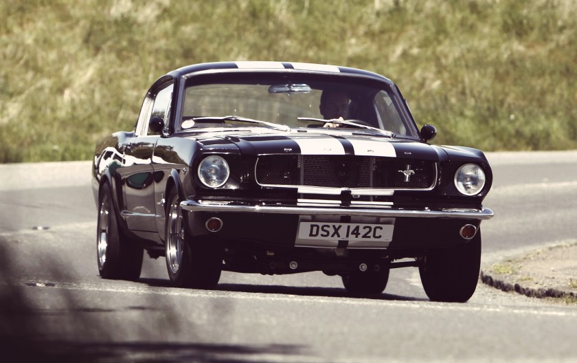 Wild Horses Ford Mustang (photo: Stan Papior)