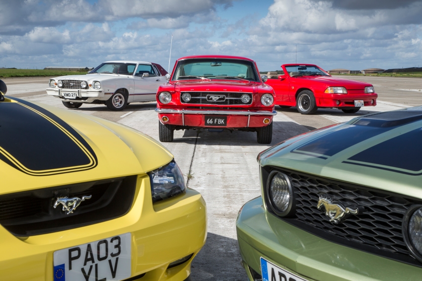 Autocar cover story: Horse of the Years Show (photo: Luc Lacey)